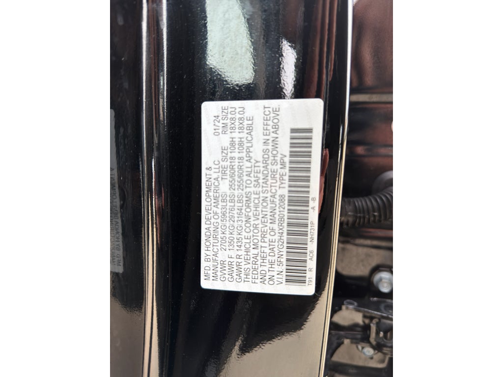 2024 Honda Pilot EX-L 8 Passenger